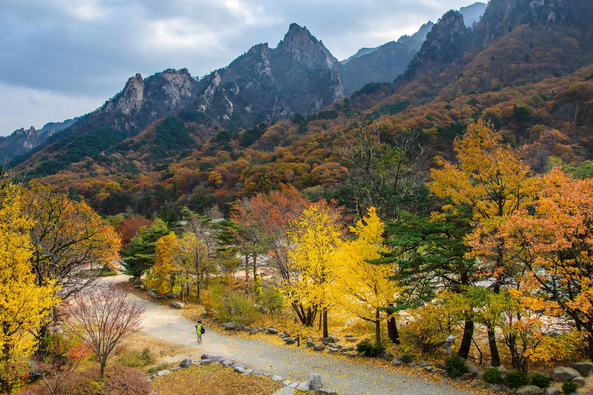 5 Spot Hiking di Korea- Gunung Terbaik & Jalur Populer