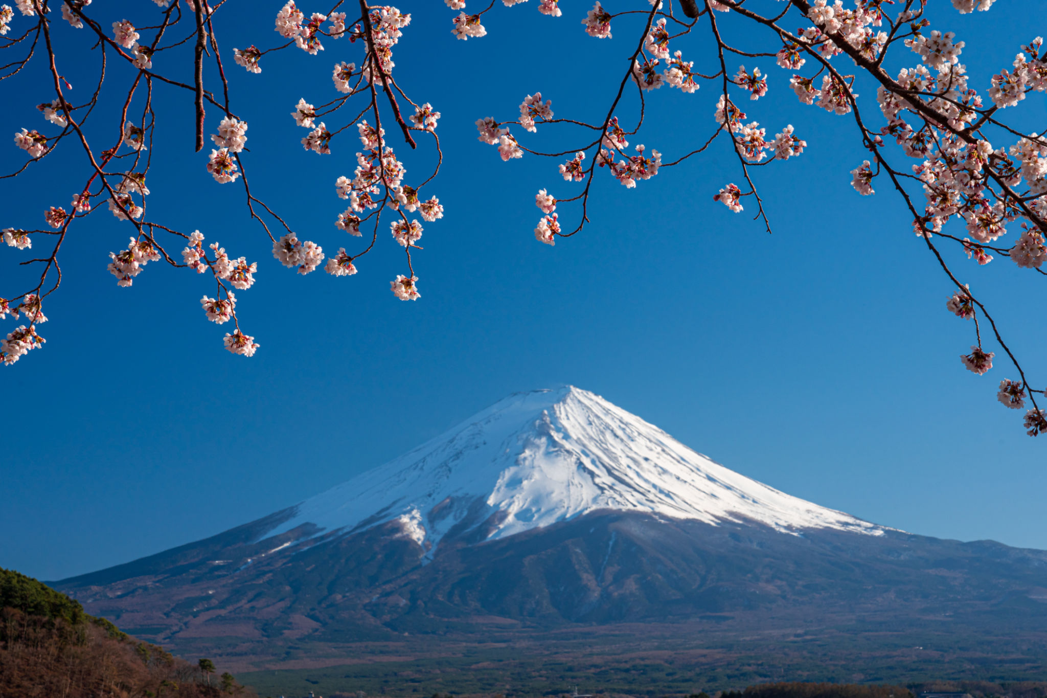 Tour Jepang & 10 Keindahan Alam Jepang yang Mengagumkan dan Mempesona